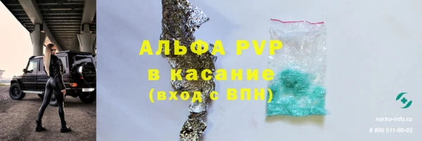 хмурый Бикин