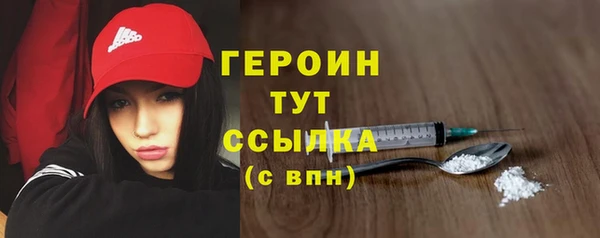 хмурый Бикин