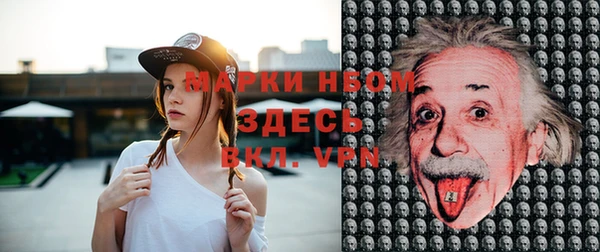 твердый Данков