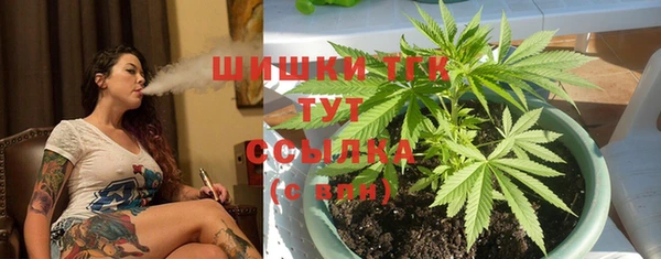 хмурый Бикин