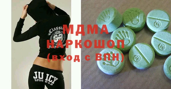 хмурый Бикин